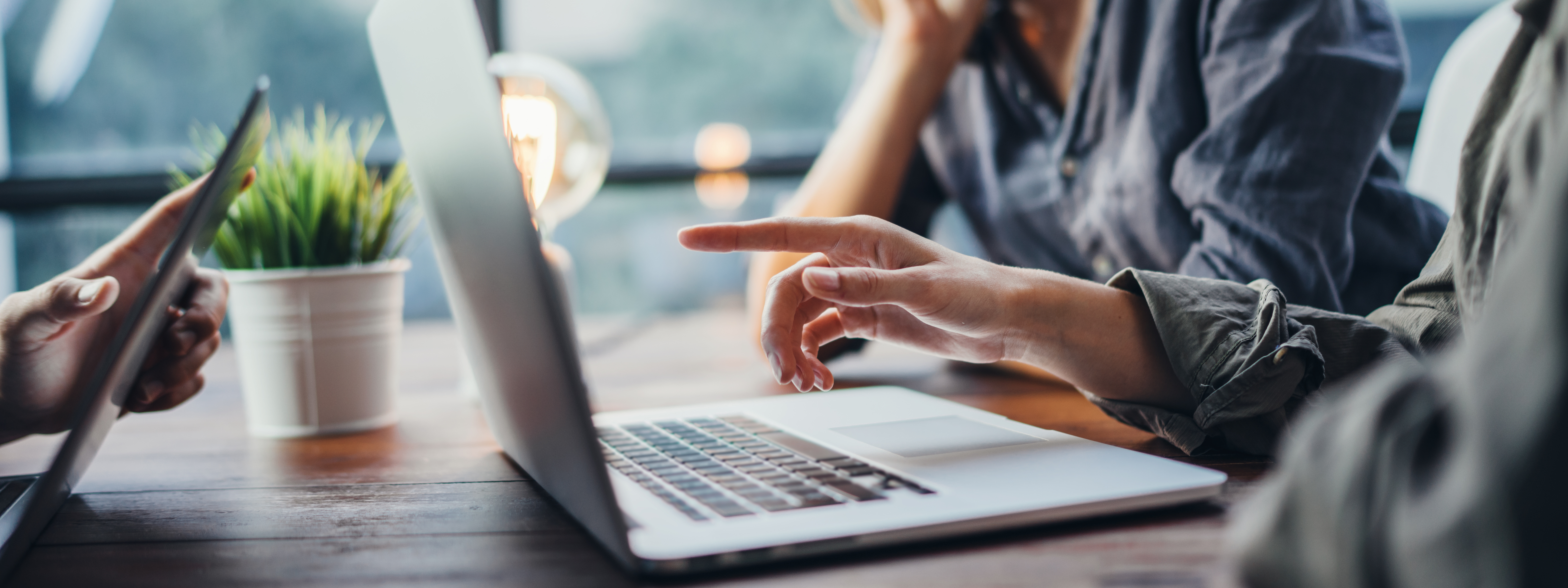 Advisory meeting and collaborative teamwork